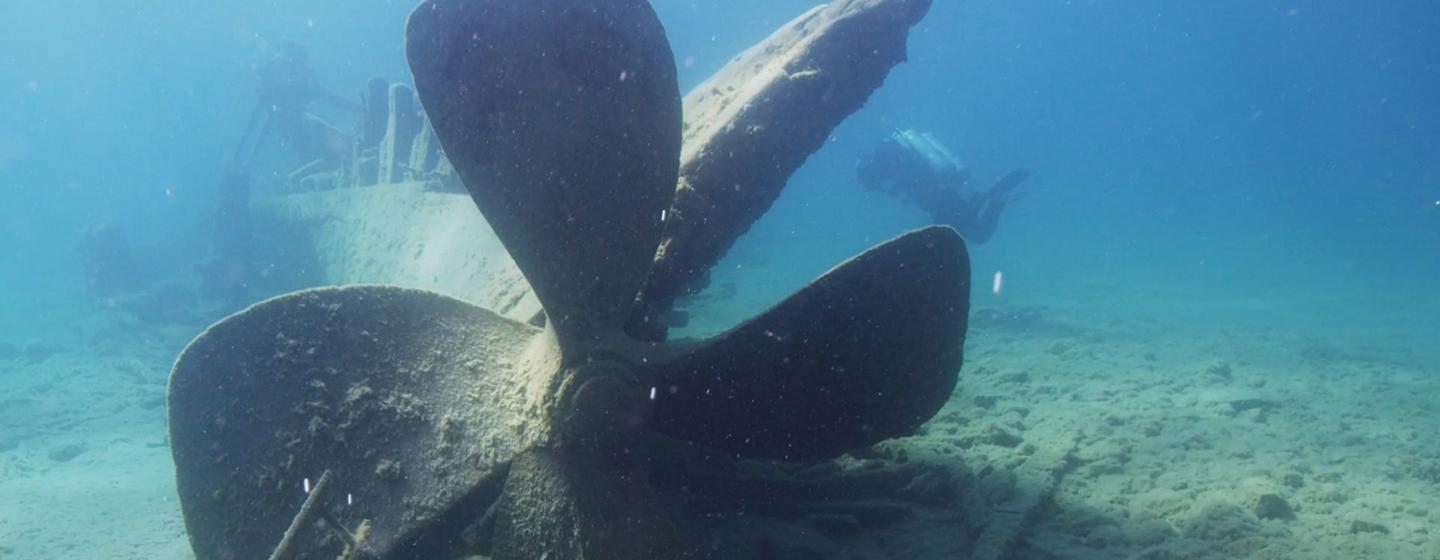 Great Lakes Now, Saving Shipwrecks and Sturgeon