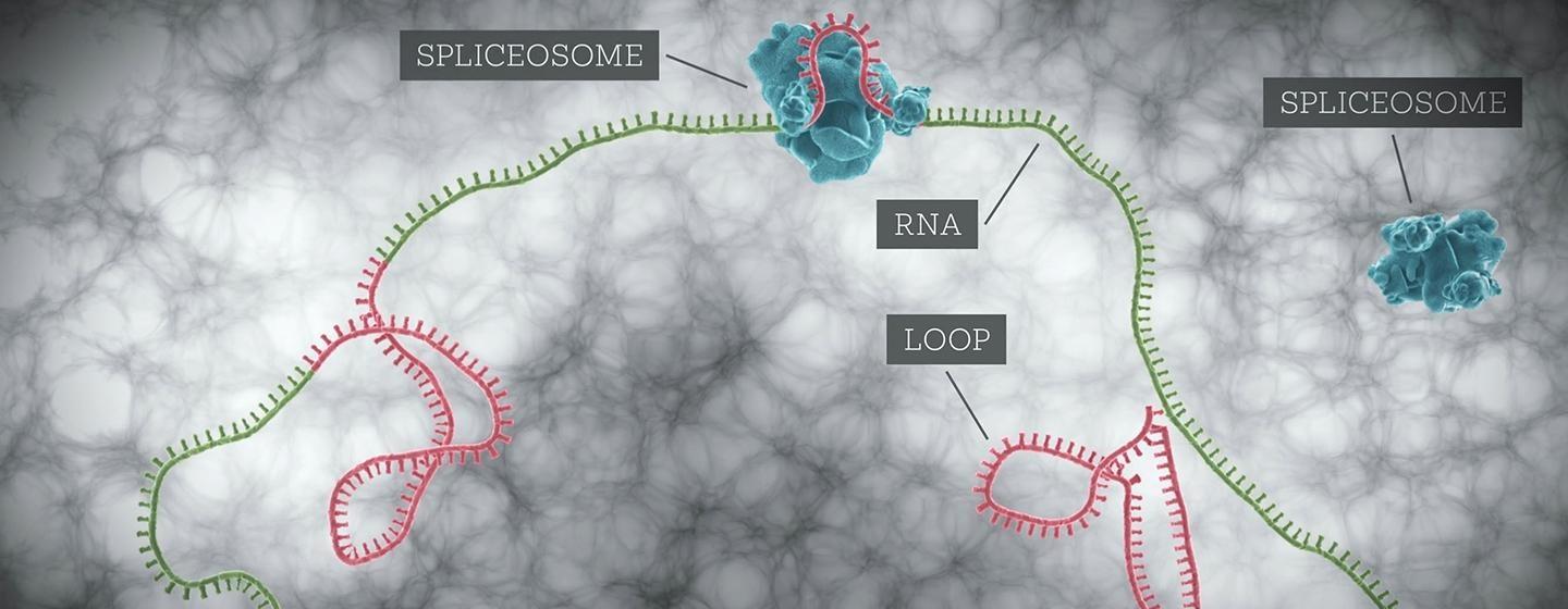 Independent Lens, Cracking the Code: Phil Sharp and the Biotech Revolution