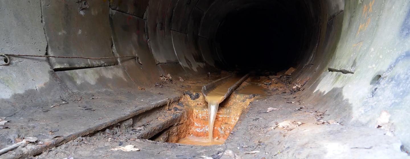 Great Lakes Now, Smart Sewers and Sunken Aircraft