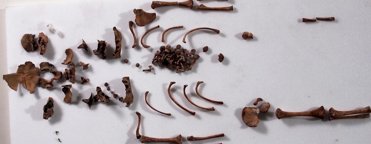 Secrets of the Dead, Ben Franklin’s Bones