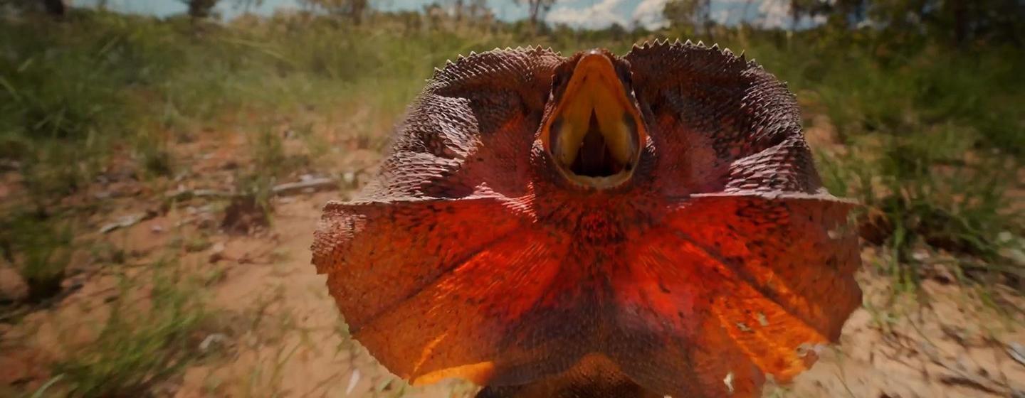 The Kimberley: Australia’s Wild West