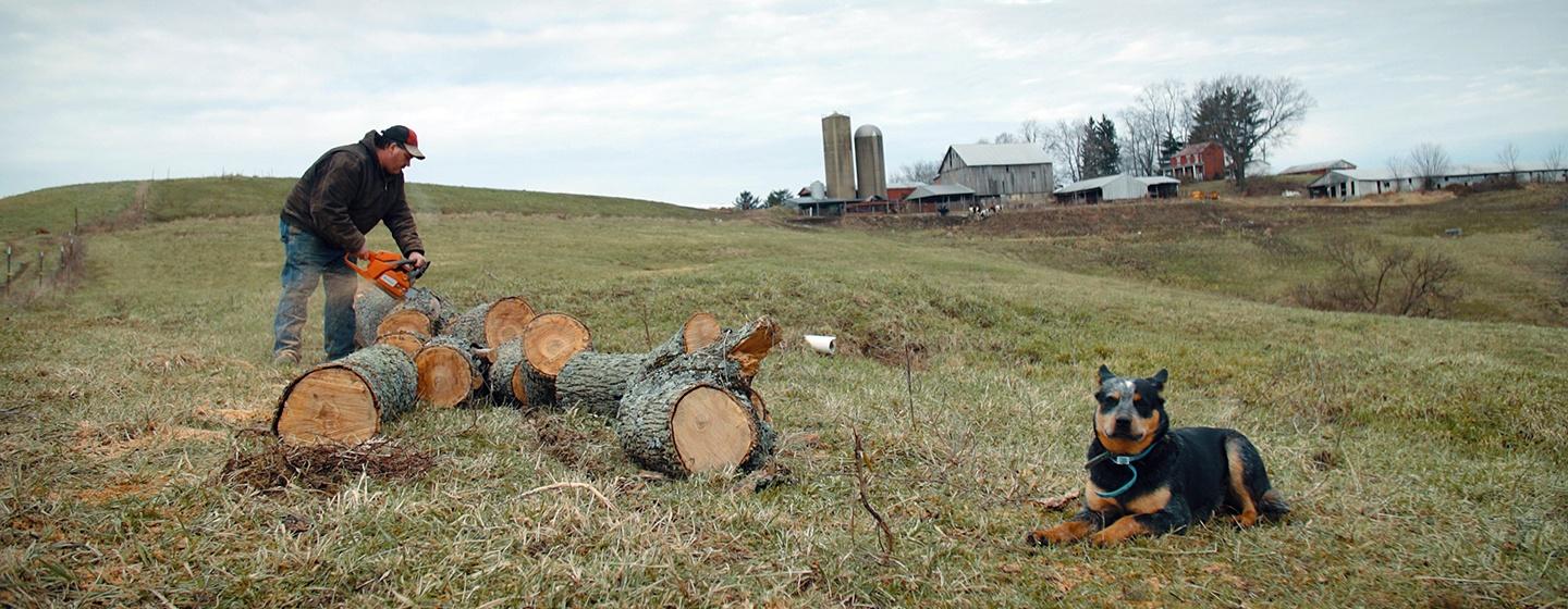 Dairy farmer, Jay Simeral saws wood at the backdrop of his Adena, Ohio farm as one of his mini blue heelers patiently waits for him to finish.