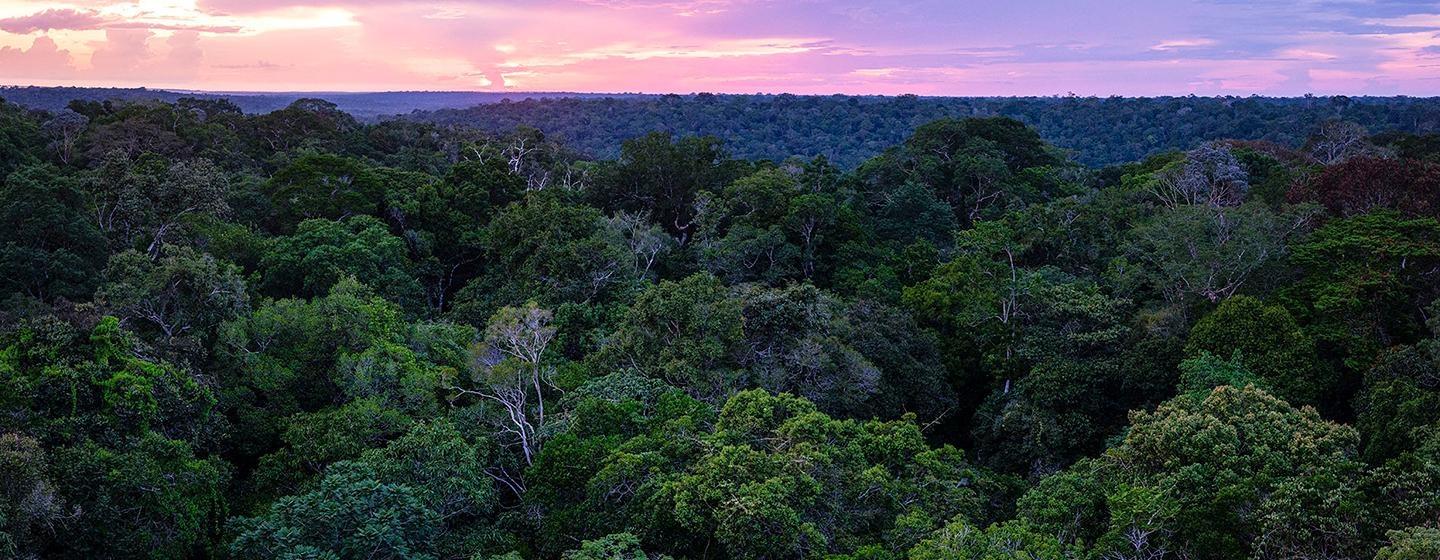 The Future of Nature