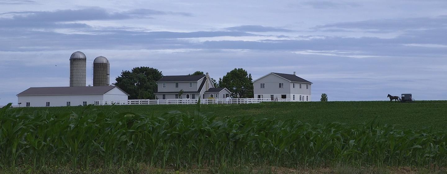 Independent Lens, Keep Quiet and Forgive