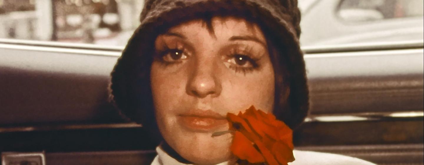 American Masters, Liza: A Truly Terrific Absolutely True Story