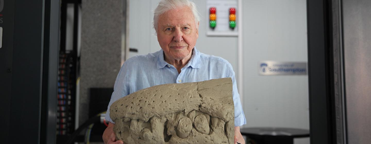 Nature, Attenborough and the Jurassic Sea Monster