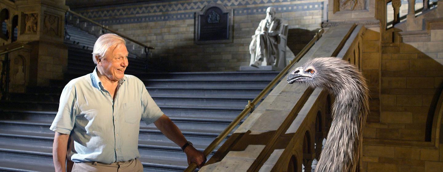Nature: Museum Alive with David Attenborough