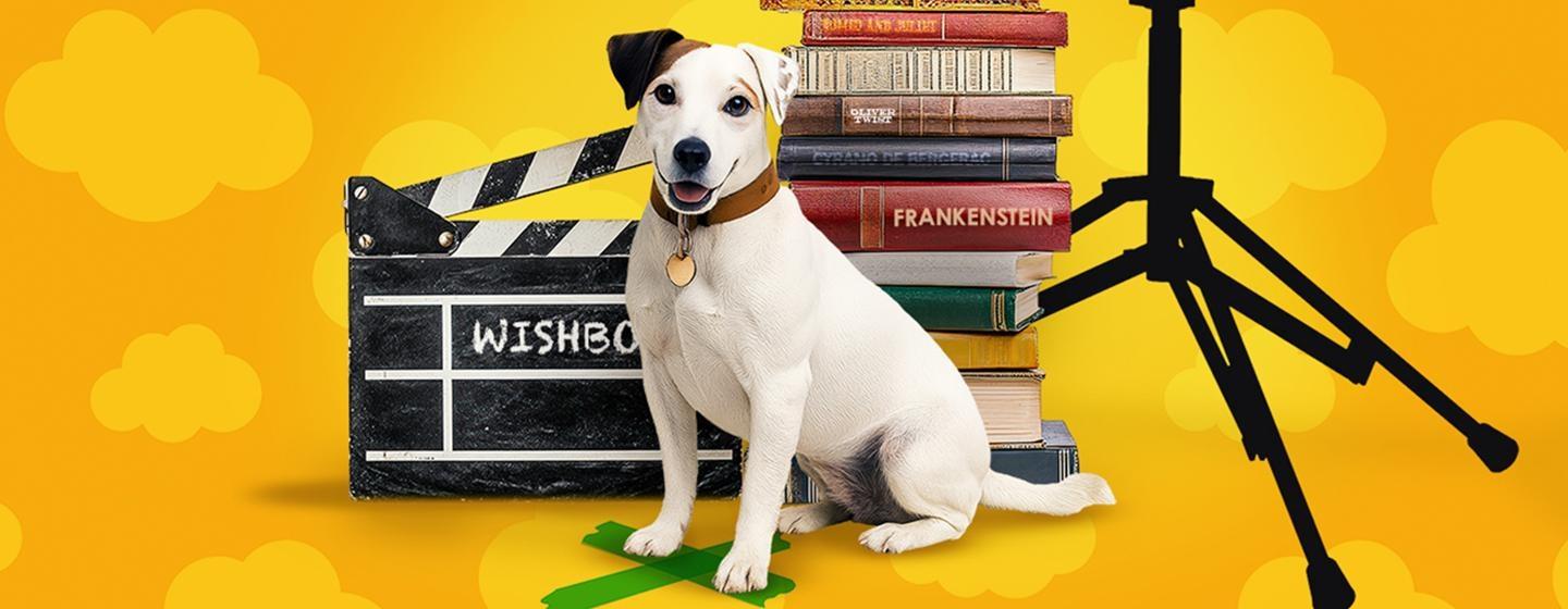 What’s the Story, Wishbone?