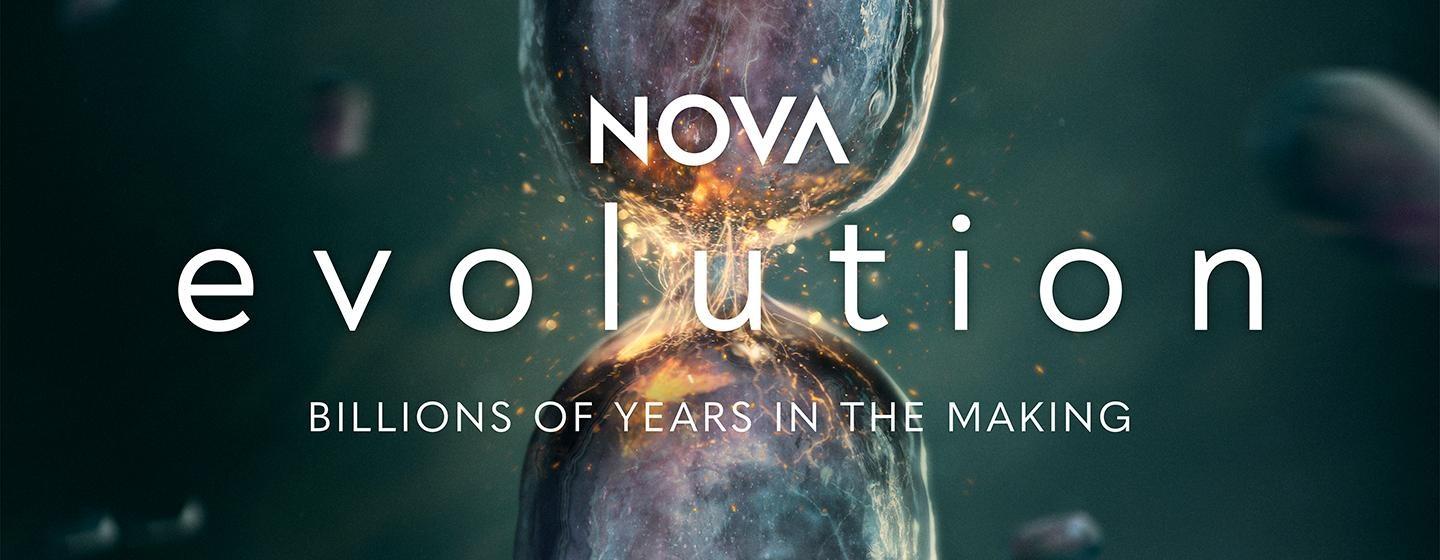 Nova, Evolution