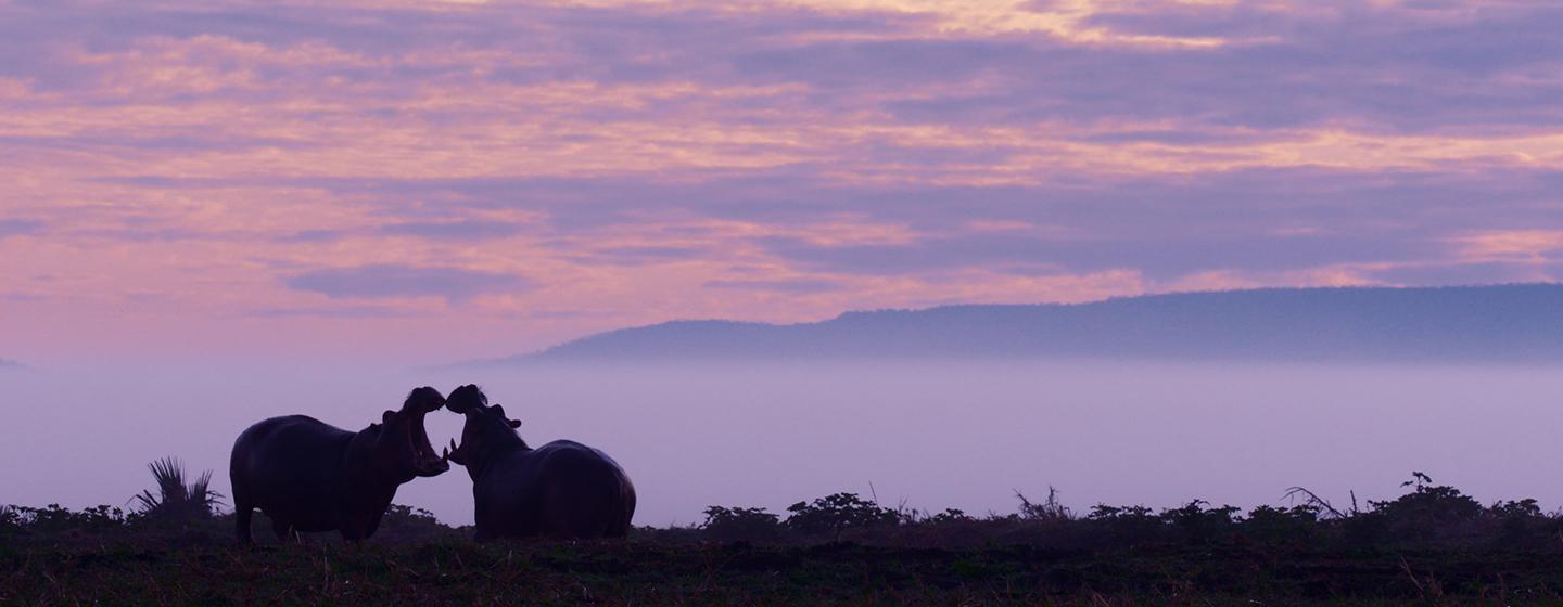 Nature, Katavi — Africa’s Fallen Paradise