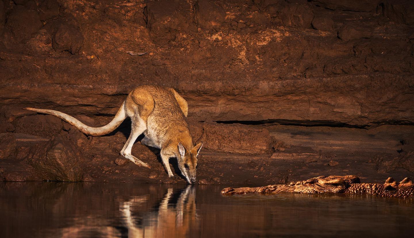 The Kimberley: Australia’s Wild West