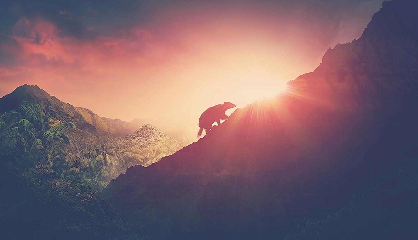 Nova, Rise of the Mammals