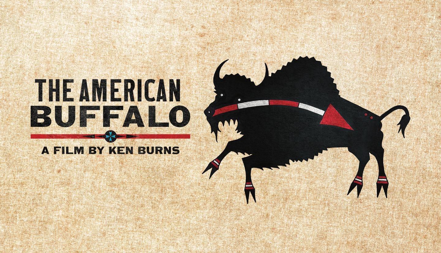 The American Buffalo