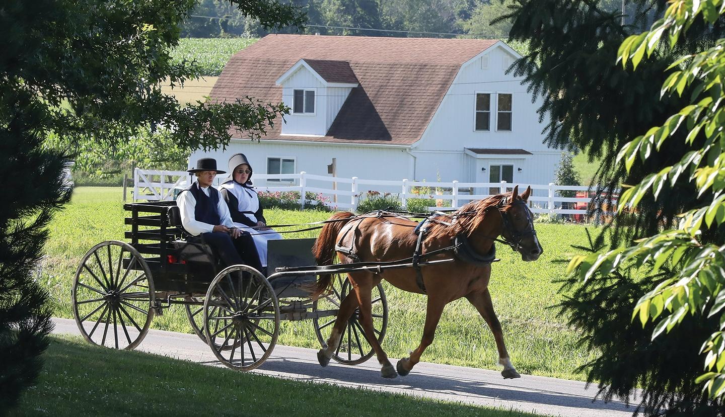 The Amish Dilemma