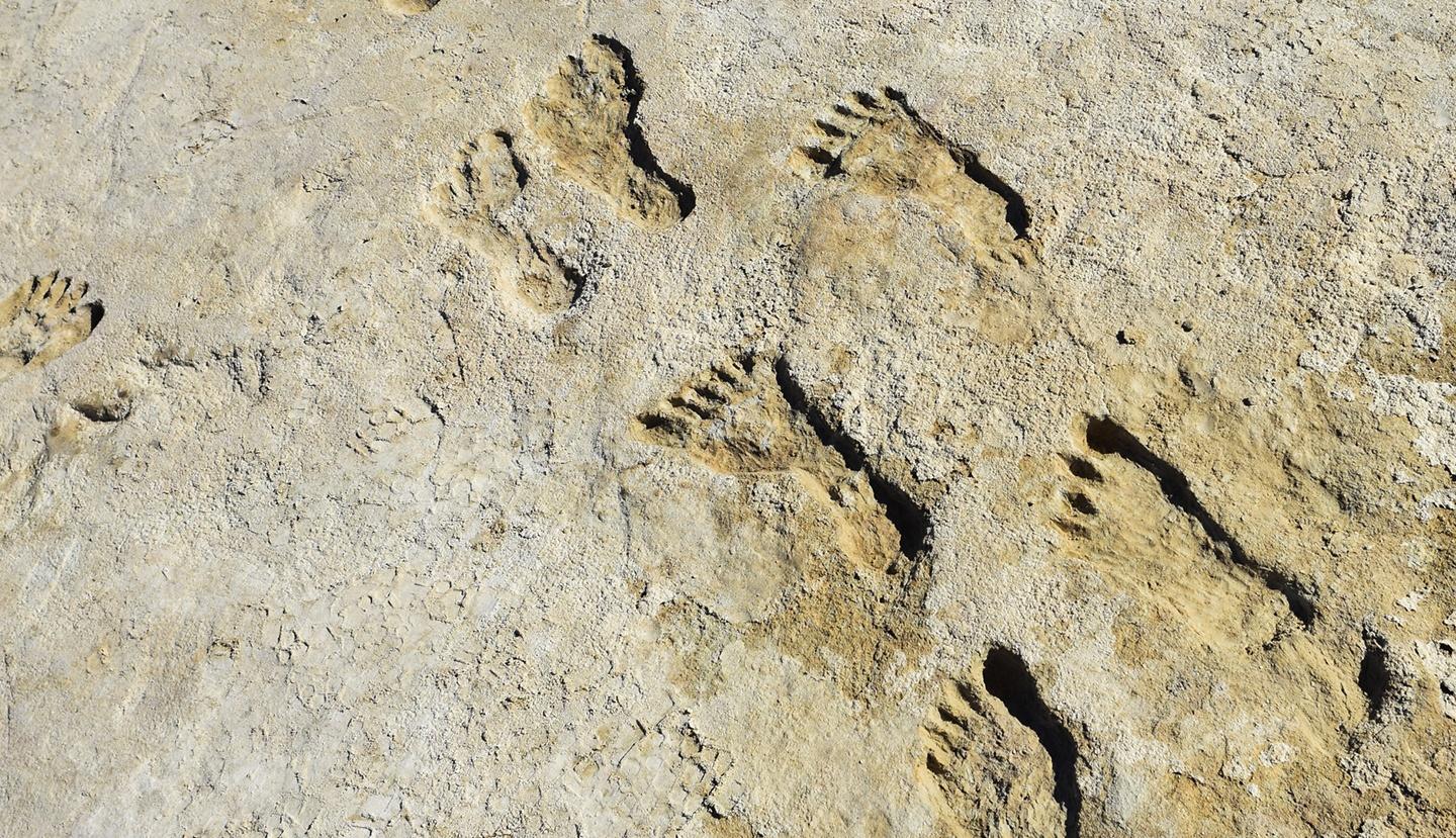 Nova, Ice Age Footprints