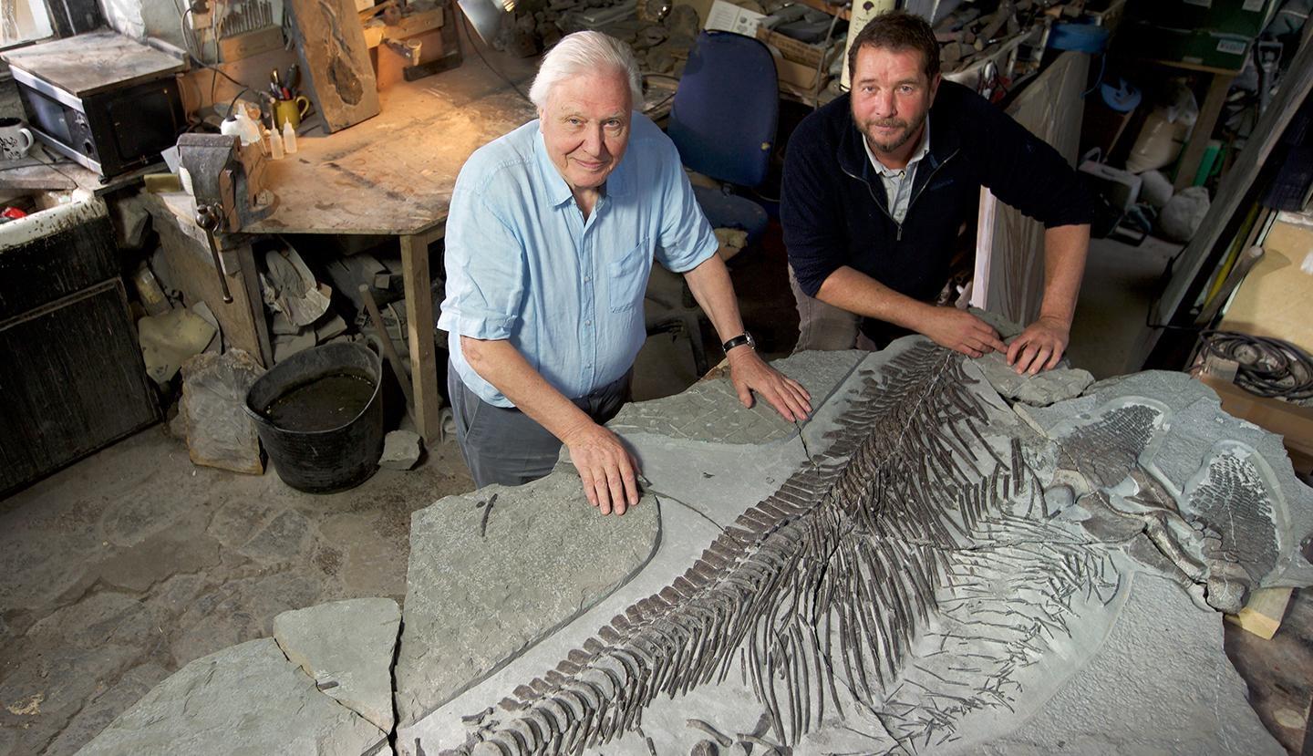 Nature, Attenborough and the Sea Dragon