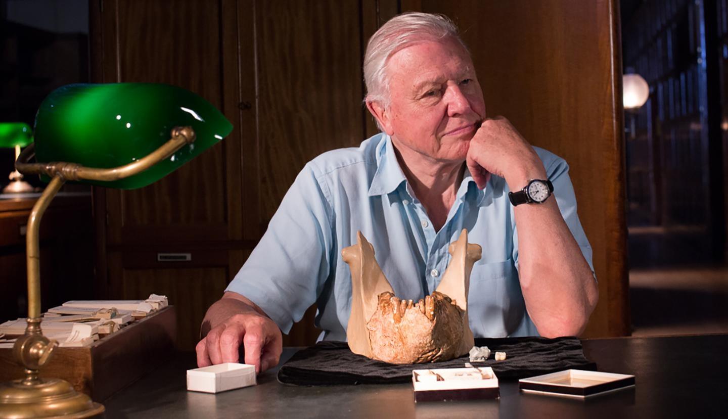 Nature: Museum Alive with David Attenborough