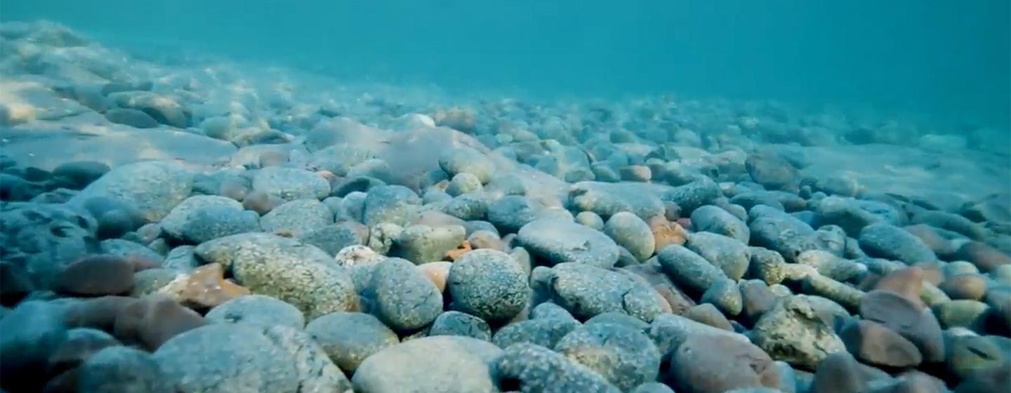 Great Lakes Now, Warming Waters and Mutant Crayfish