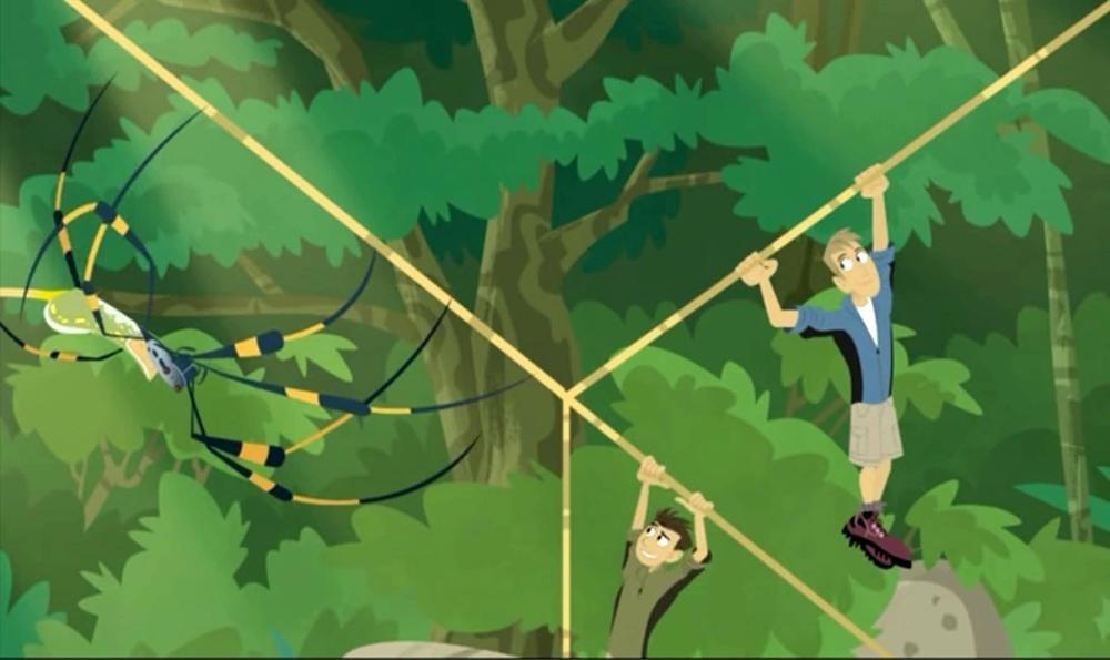Wild Kratts, Secrets of the Spider's Web
