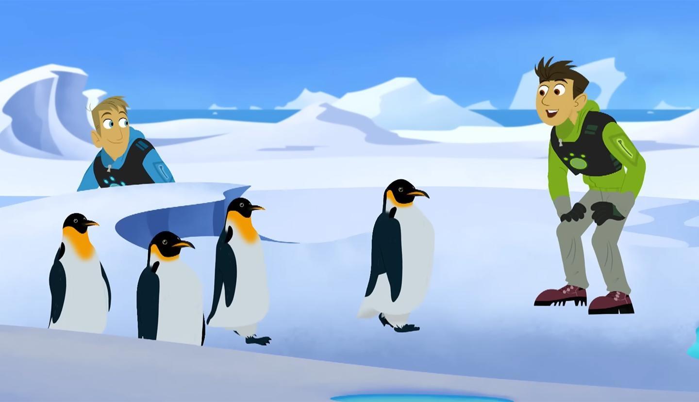 Wild Kratts, Mystery of the North Pole Penguins?