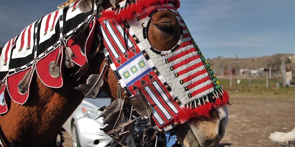 native american horse tack