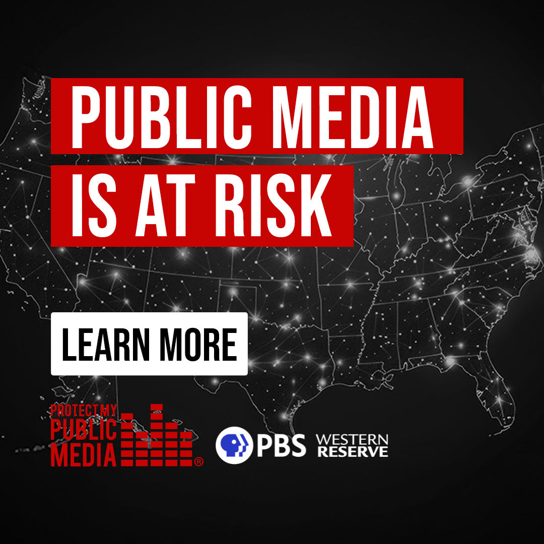 Public Media is at Risk