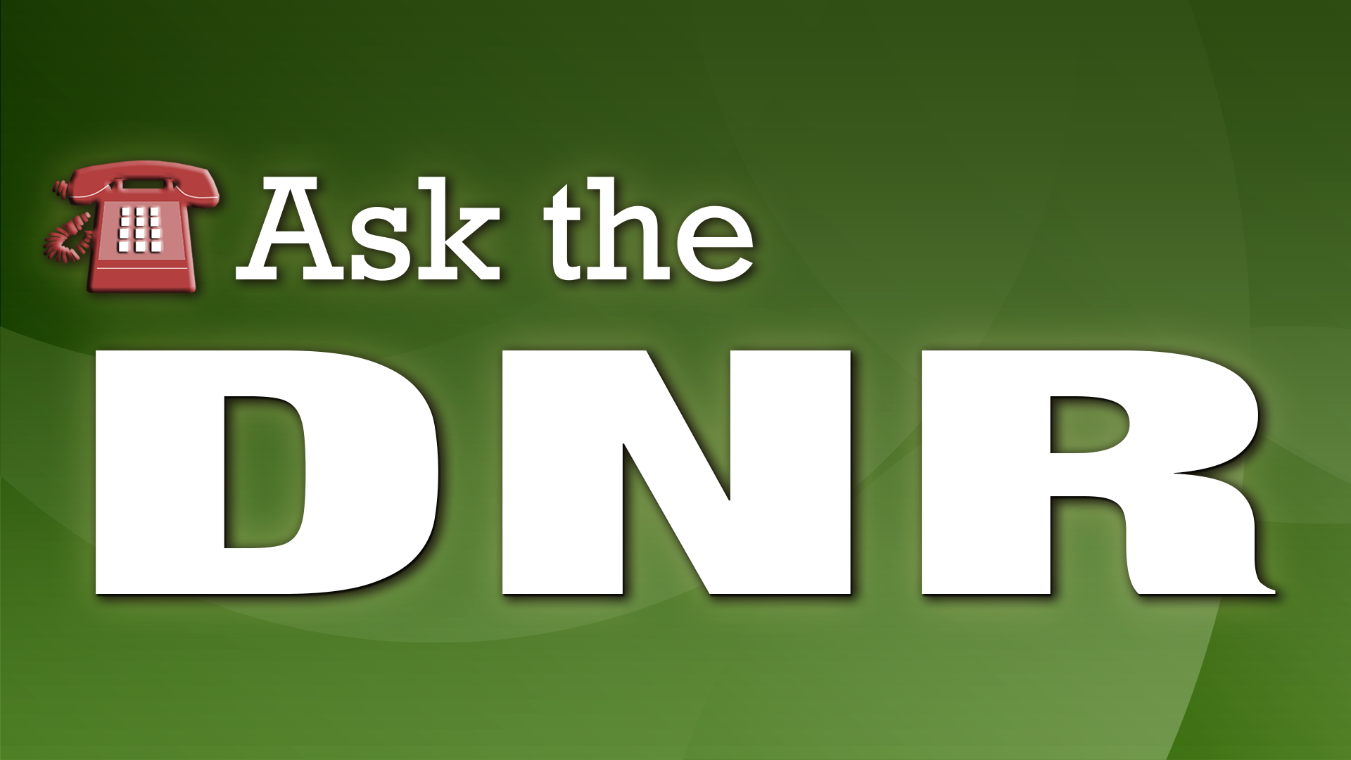 Ask the DNR