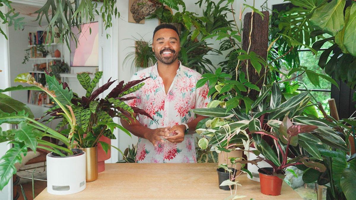 Living Wild: Plant-Spiration with Hilton Carter