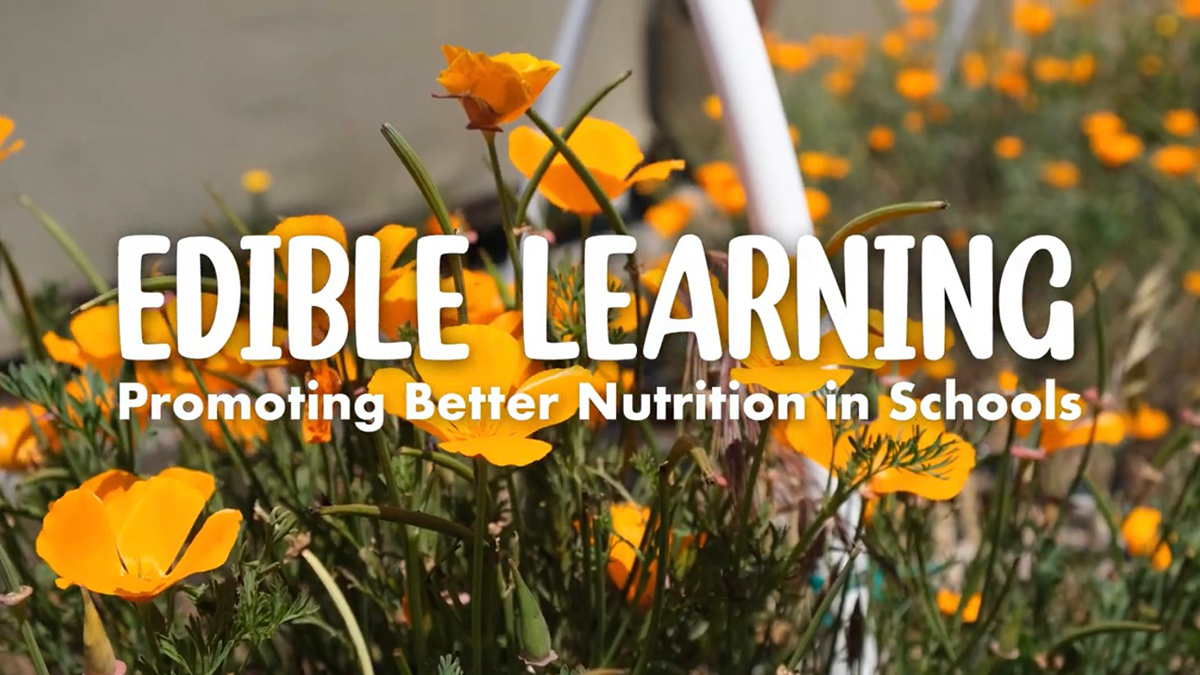 Edible Learning: Promoting Better Nutrition in Schools 