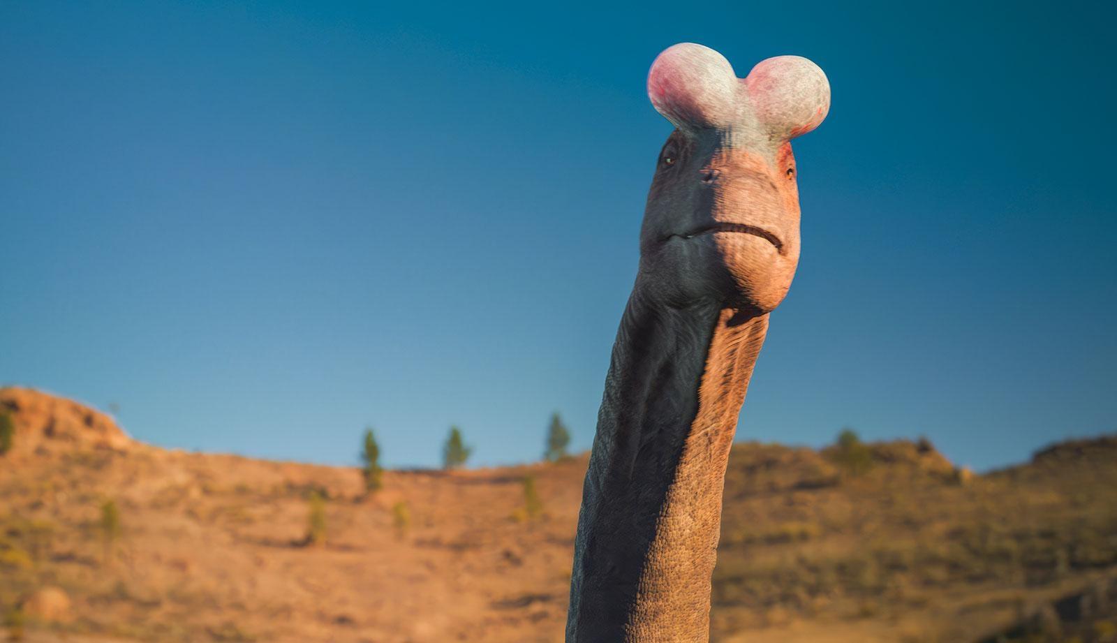 Discover the story of Lusotitan, one of the largest dinosaurs ever, as it embarks on a quest for love.