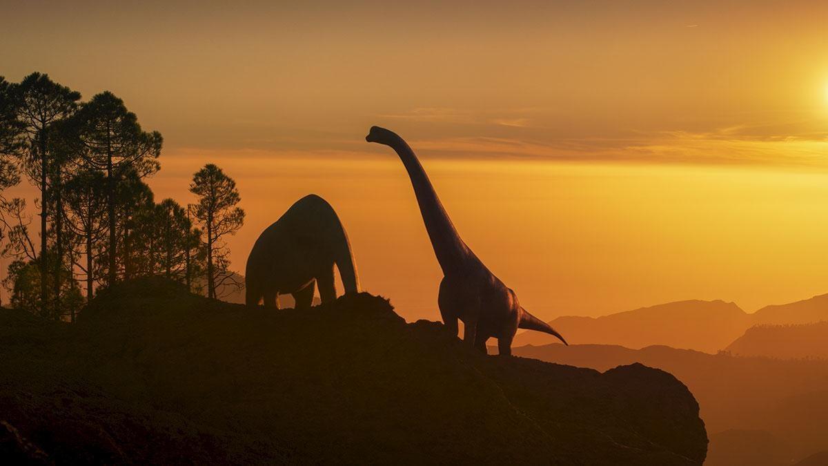 Discover the story of Lusotitan, one of the largest dinosaurs ever, as it embarks on a quest for love.