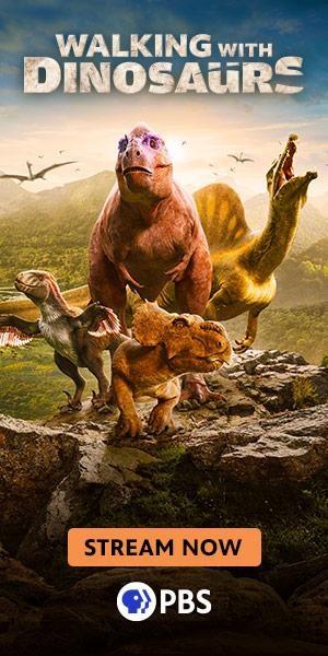 Stream Walking with Dinosaurs Today