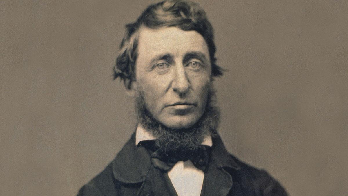 Thoreau returns to society taking on roles as surveyor, scientist, and abolitionist.