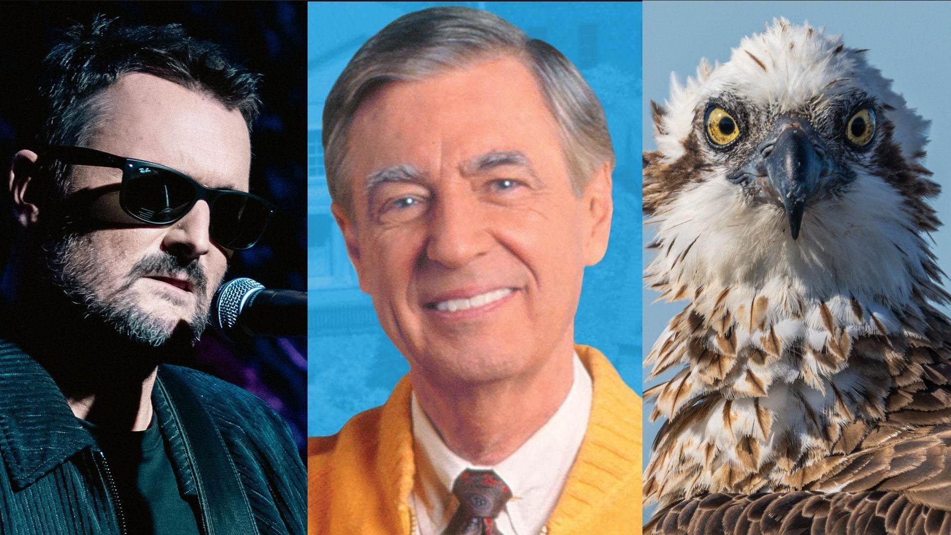 Erich Church, Fred Rodgers, and an Australian osprey: images from programs featured airing this June