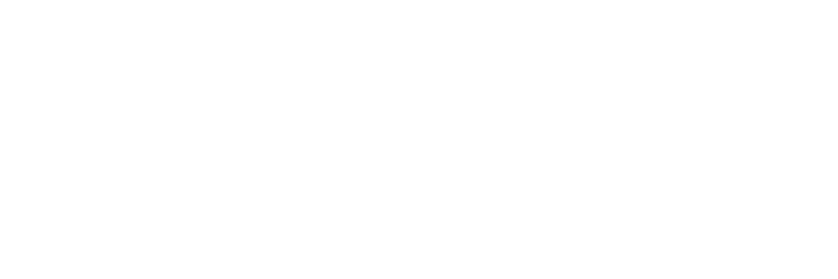 Voyage of Adventure: Retracing Donelson's Journey