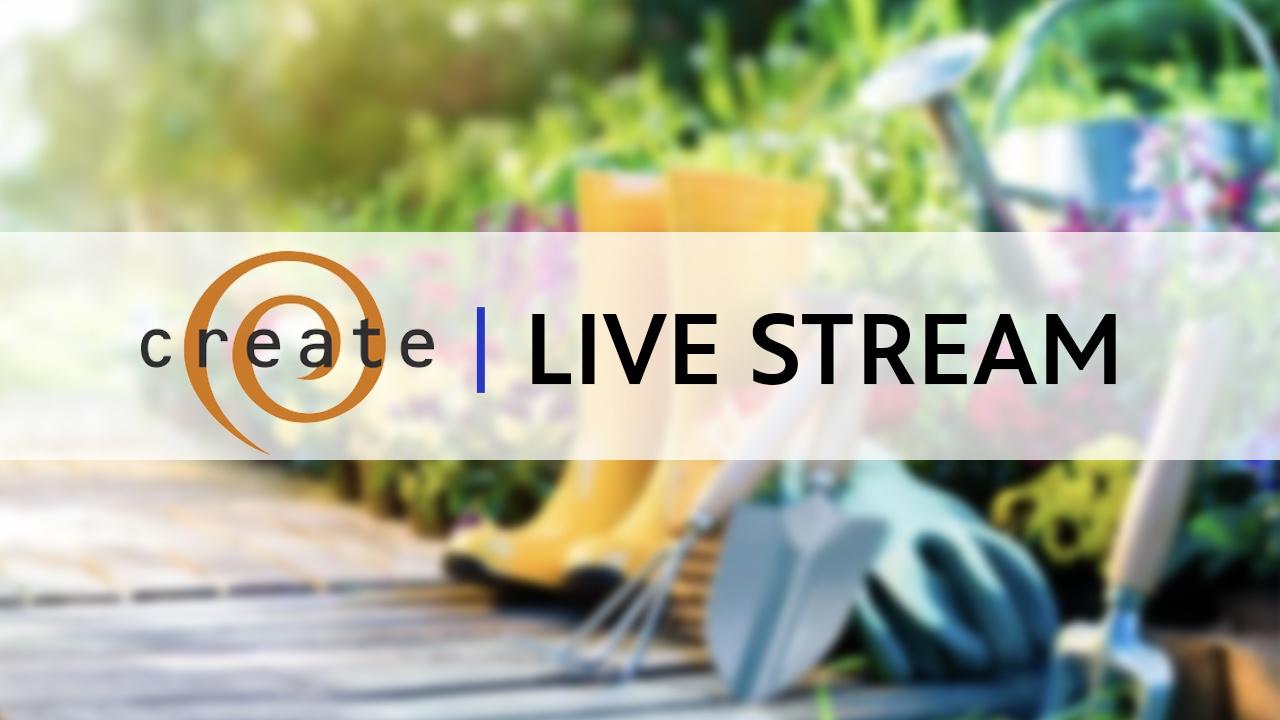 Create Live Stream