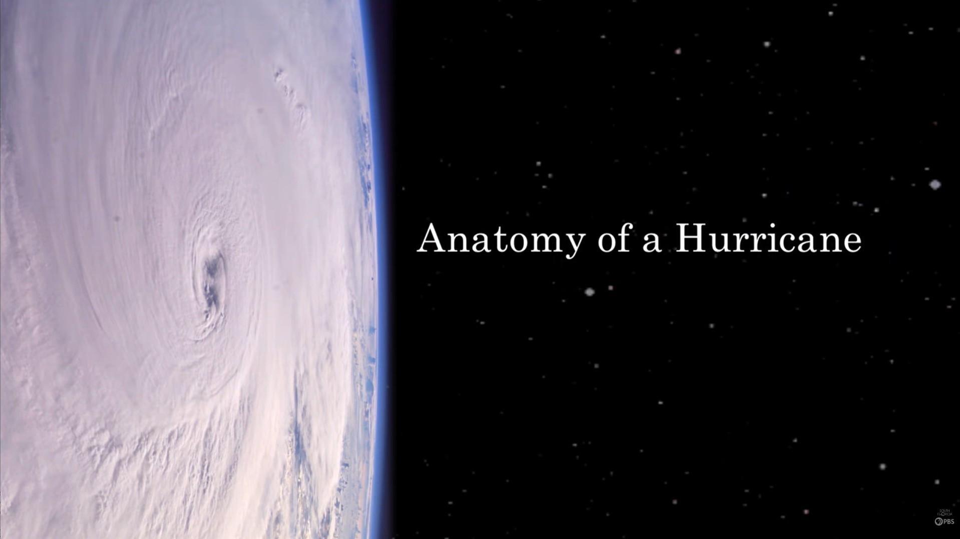 Anatomy of a Hurricane