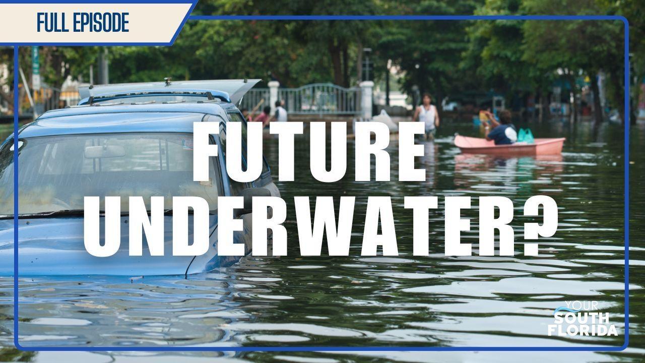 Surviving Climate Change in Miami | Your South Florida