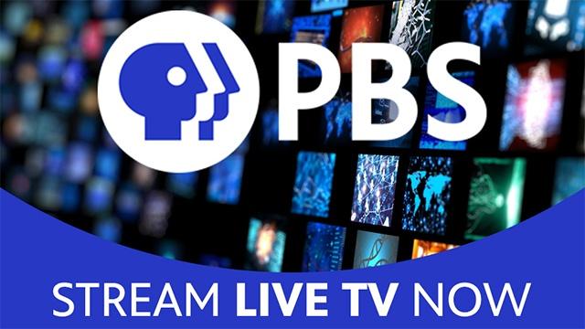 Stream WPBT Live TV