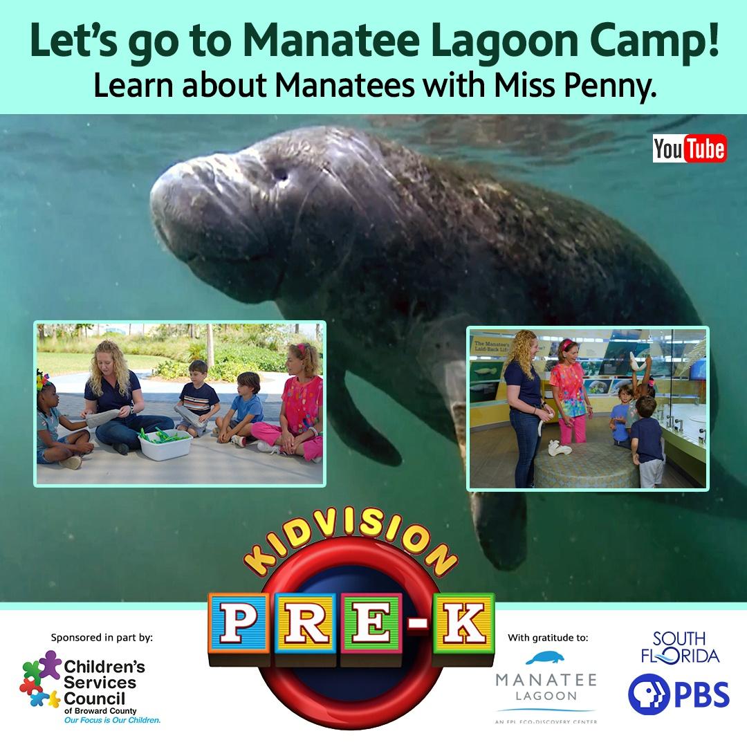 Manatee Lagoon Camp Virtual Field Trip