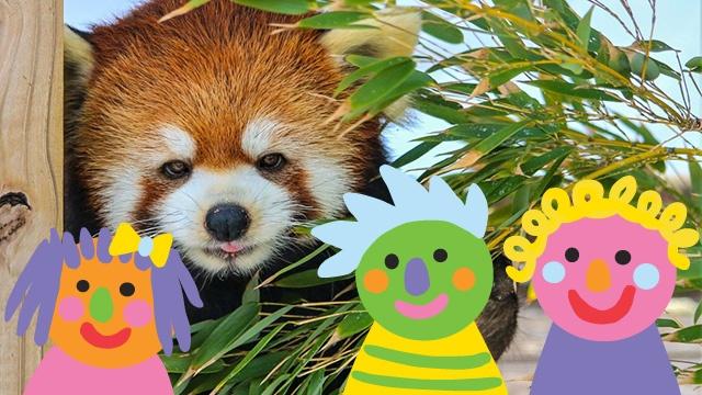 Sha-lei, a Red panda, has tongue sticking out.  Three Rhode Island PBS Kids Club characters.