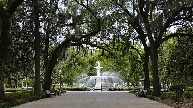 Savannah