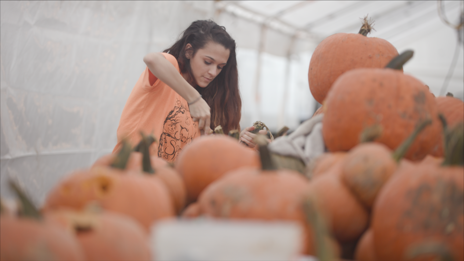 Woman cleaning a pumpkin.