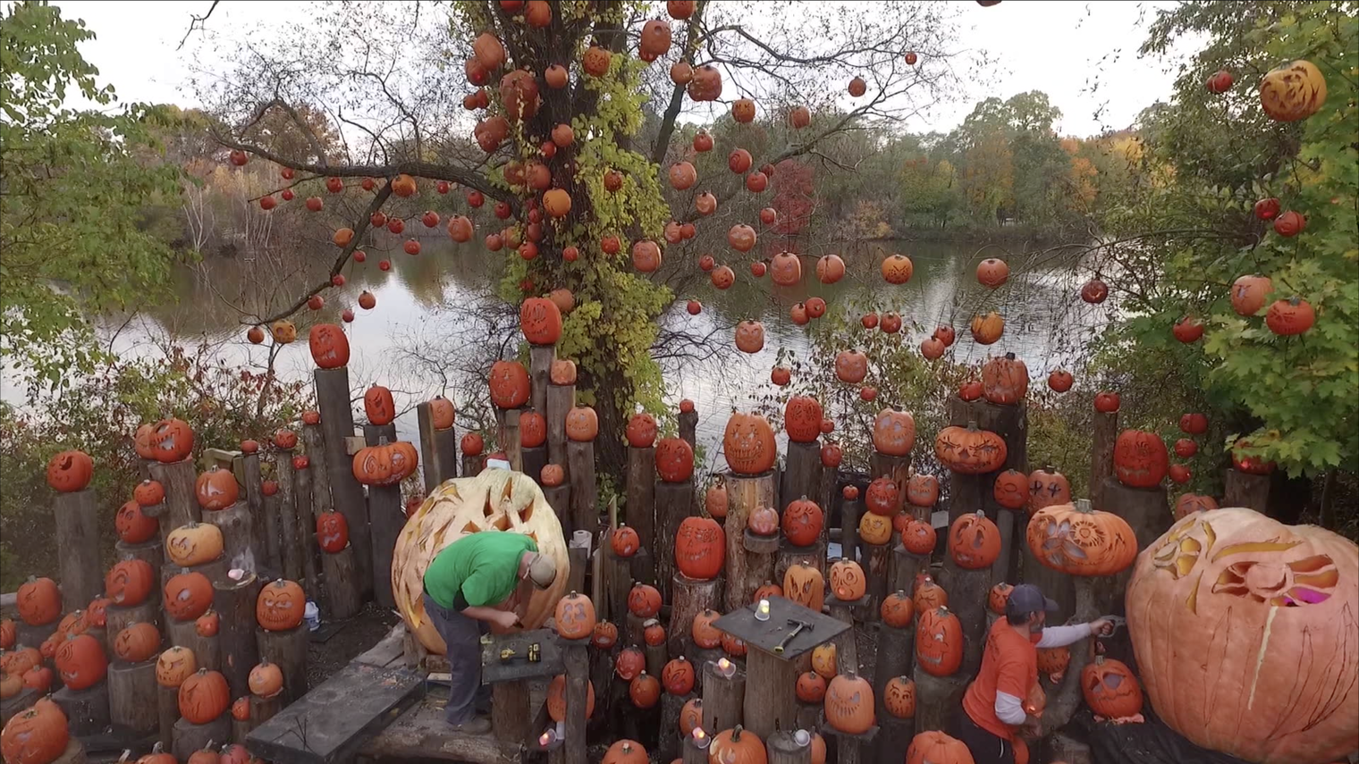 Two people staging pumpkins.