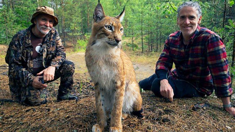 Gordon Buchanan helps cat expert Dr Victor Lukarevsky with a lynx.