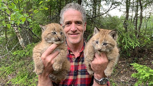 Gordon Buchanan holding two lynx kittens.