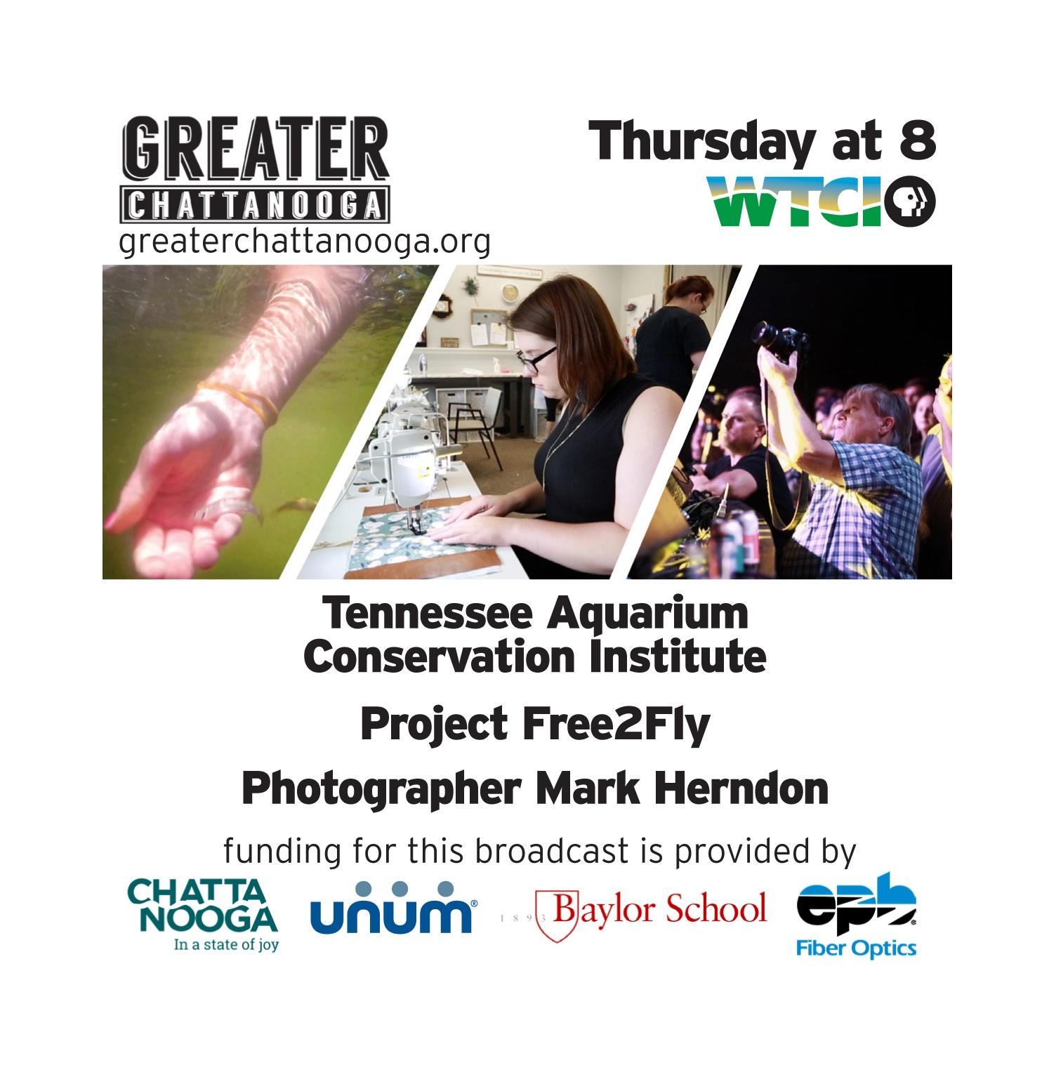 Images of The Tennessee Aquarium Conservation Institute, Project Free2Fly, and photographer Mark Herndon with text that reads "Greater Chattanooga Thursday at 8, funding for this broadcast is provided by Chattanooga, Unum, Baylor School, EPB"