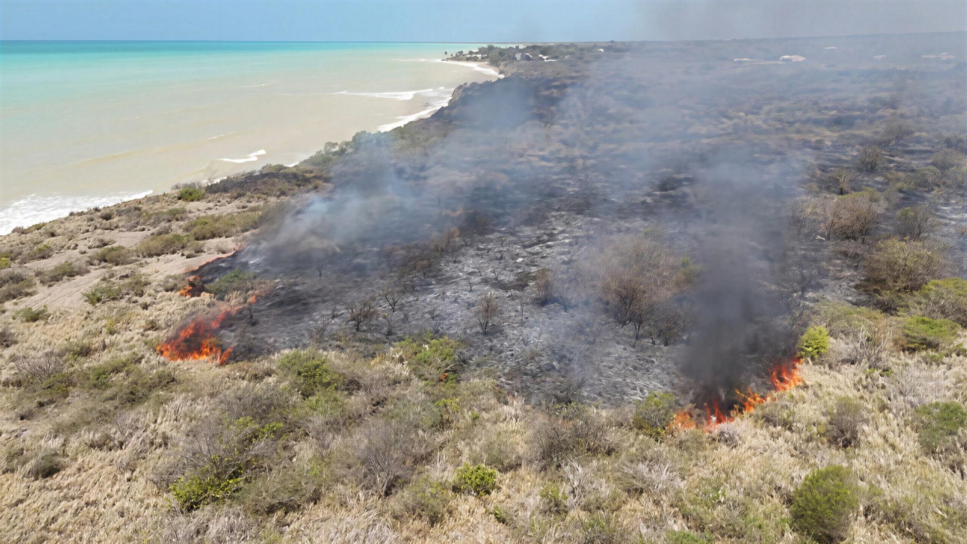 Brush Fire