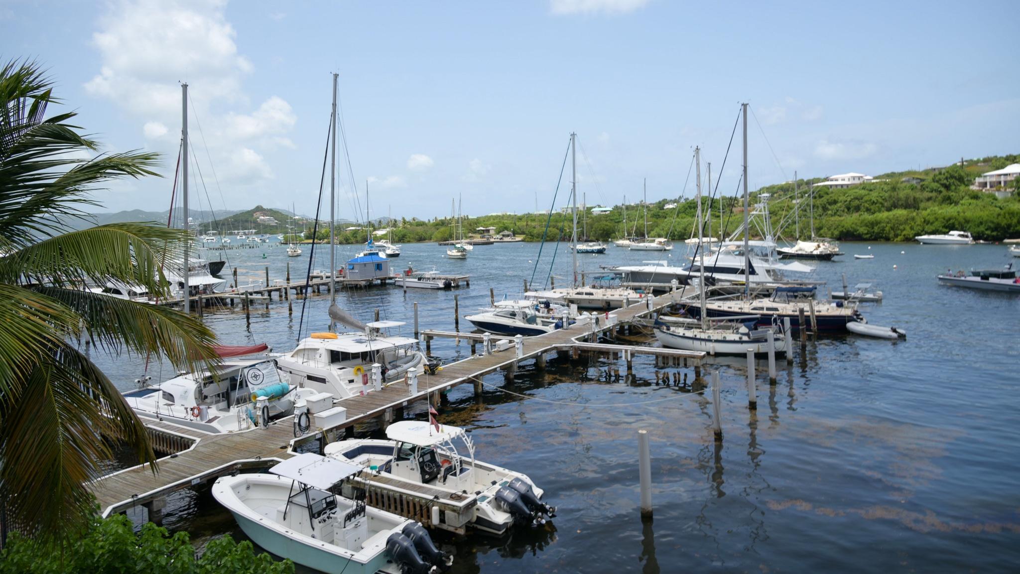 Boats in harbor