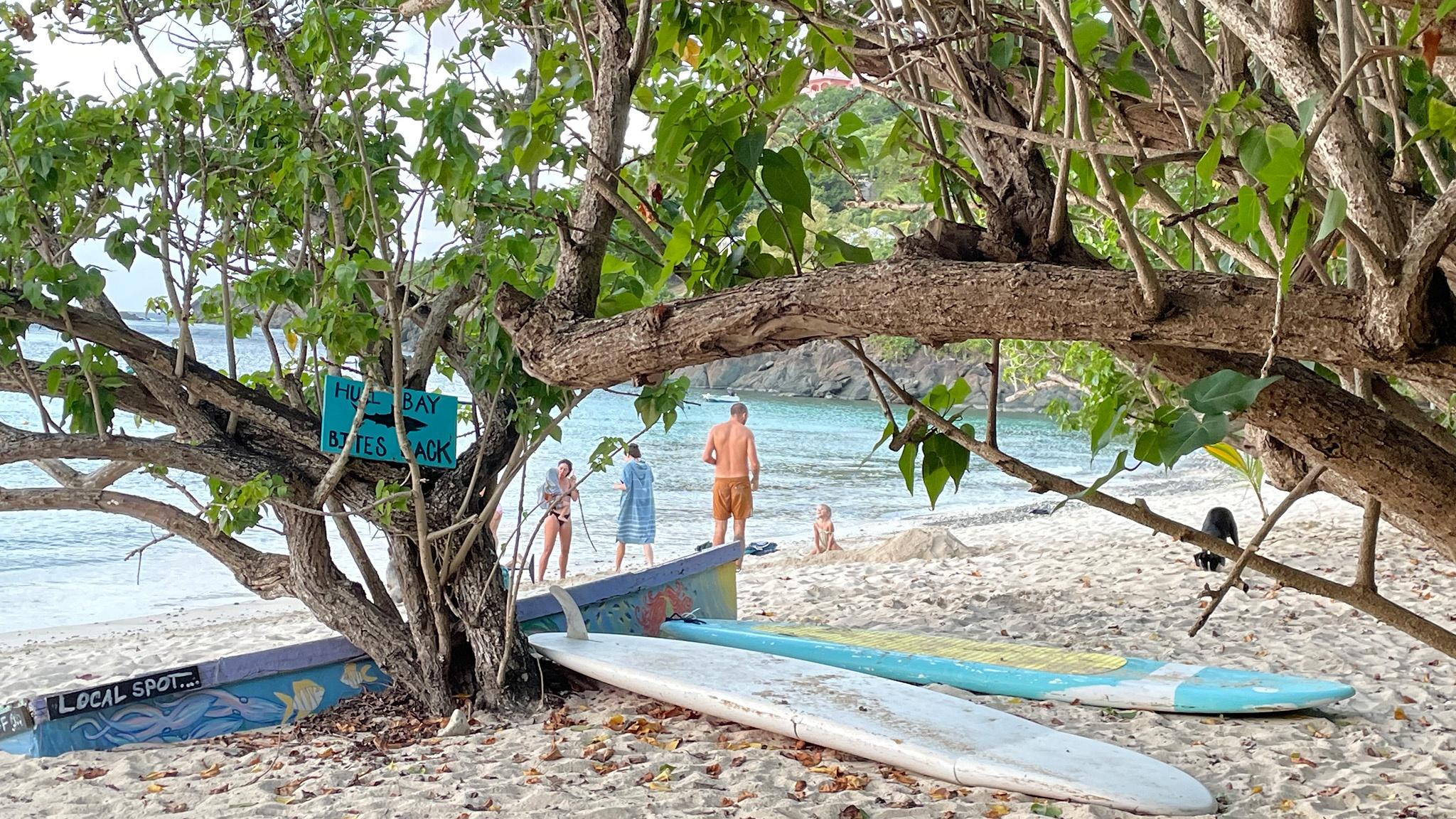 Pictured: Hull Bay beach